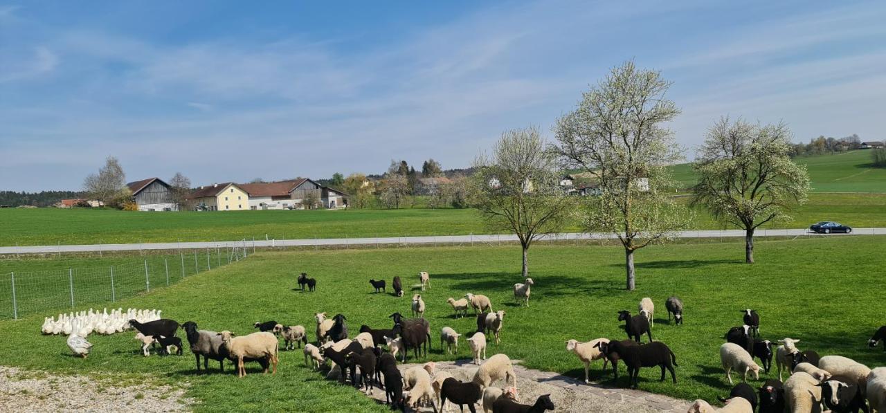 Landgasthof Entenwirt Tarsdorf Экстерьер фото