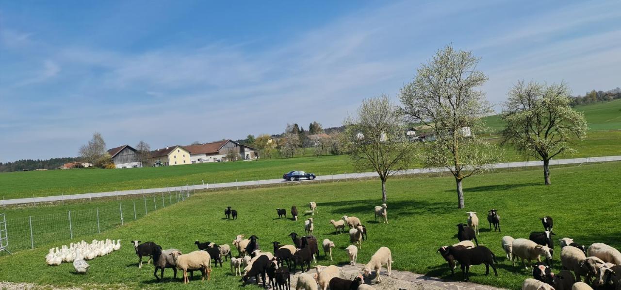 Landgasthof Entenwirt Tarsdorf Экстерьер фото